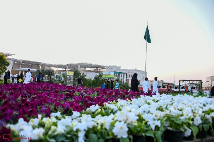 السعودية.. نصف مليون زهرة طبيعية في مهرجان «القطيف»